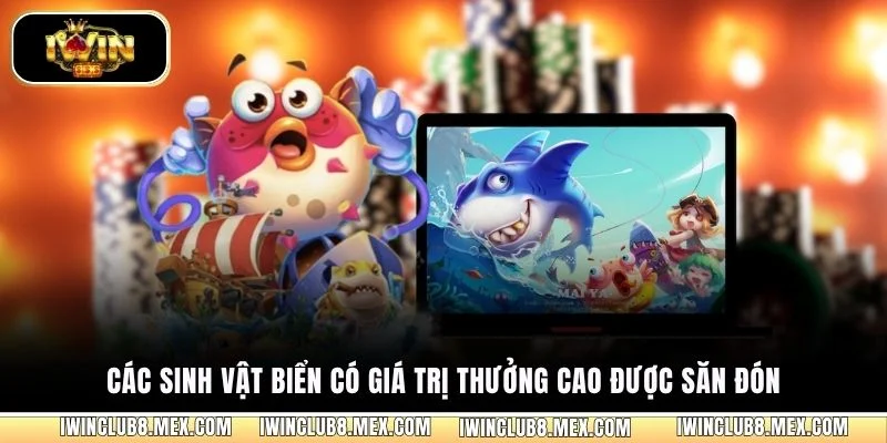 Các sinh vật biển có giá trị thưởng cao được săn đón